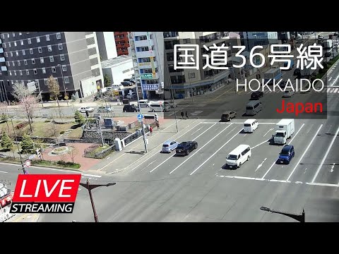 【LIVE】道路状況・札幌市国道36号線と創成川の状況