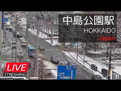 【LIVE】道路状況・中島公園駅周辺 札幌市中央区南８条西４丁目