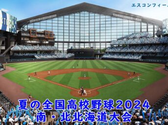 夏の高校野球2024 南北北海道大会