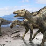 北海道むかわ町の発掘恐竜 新属新種に認定されカムイサウルスと命名
