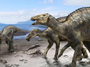 北海道むかわ町の発掘恐竜 新属新種に認定されカムイサウルスと命名