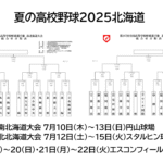 夏の高校野球2025 南北海道大会・北北海道大会の組み合わせ トーナメント表 2025甲子園